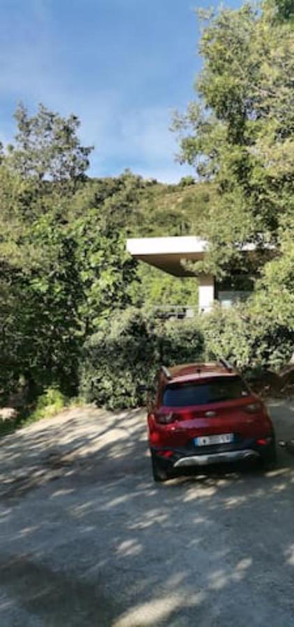 Maison Avec Jacuzzi Au Coeur Des Montagnes Feliceto Exterior photo